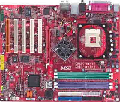 875P Neo