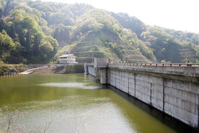 右岸から堤体上流側を見る