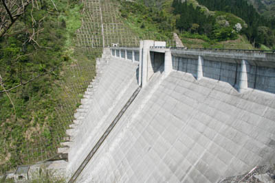 左岸から堤体下流側を見る