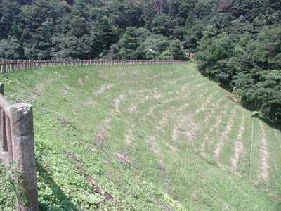 藤ヶ池堤体