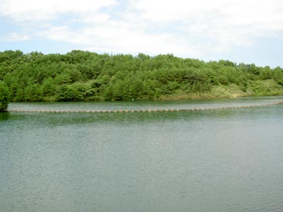 ダム湖