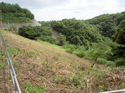 右岸から堤体下流側を見る