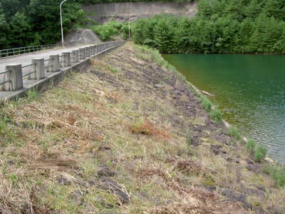 左岸から堤体銃流側を見る
