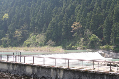 全面越流式堤体