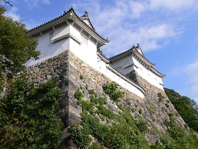 姫路城帯廓櫓と石垣
