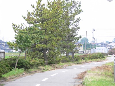打出駅跡付近から堀岡駅方面を見る