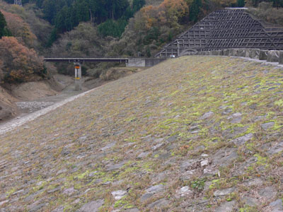 右岸から堤体上流側を見る