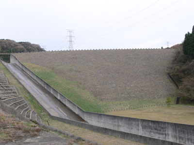 下流から堤体を見る