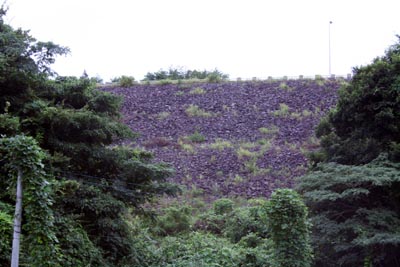 寺家ダム全景