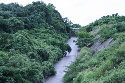 導水路を下流から見る