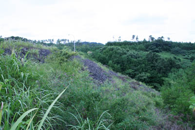 右岸下流側から堤体を見る