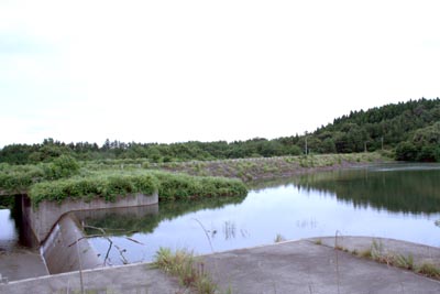 左岸上流から堤体を見る