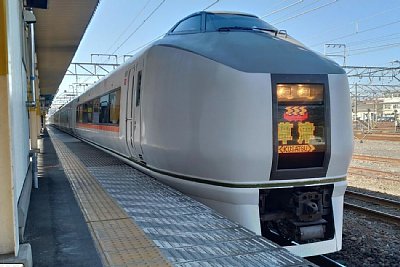 両毛線の特急「草津」が停車しています