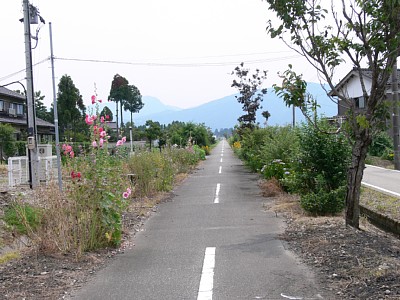 高瀬神社方面を見る