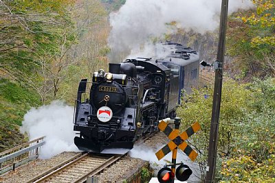 蒸気機関車C58 239