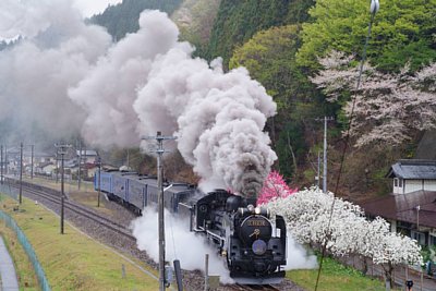蒸気機関車C58 239