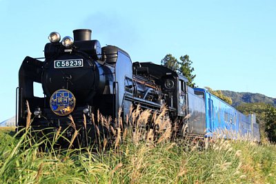 蒸気機関車C58　239