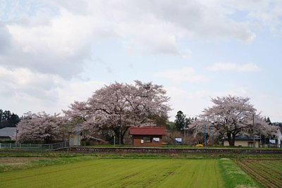 駅全景
