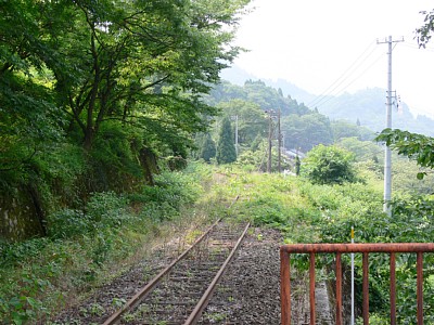 猪谷方面の線路の周りは草が生い茂っています