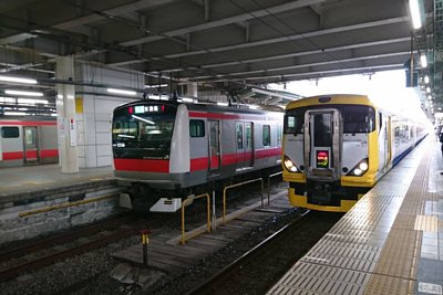 E233系5000番台とE257系500番台　