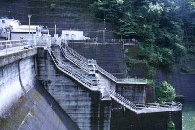 右岸から堤体下流側を見る