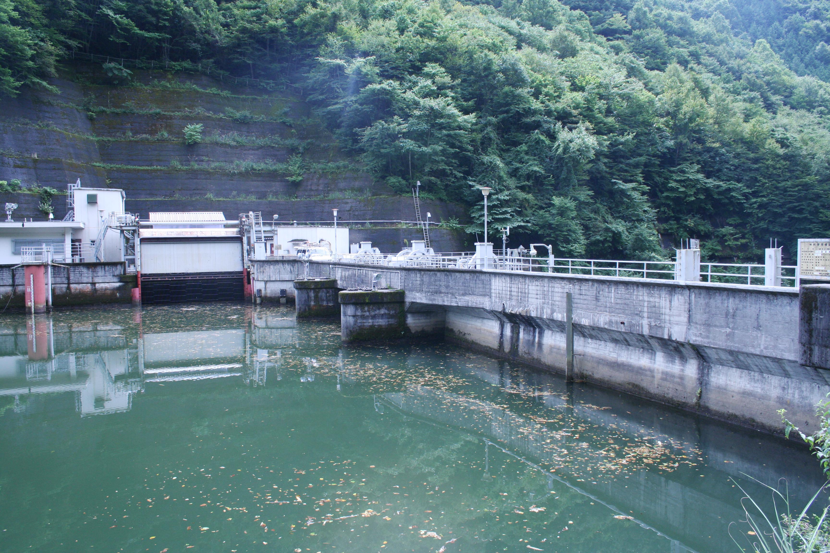 右岸から堤体上流側を見る