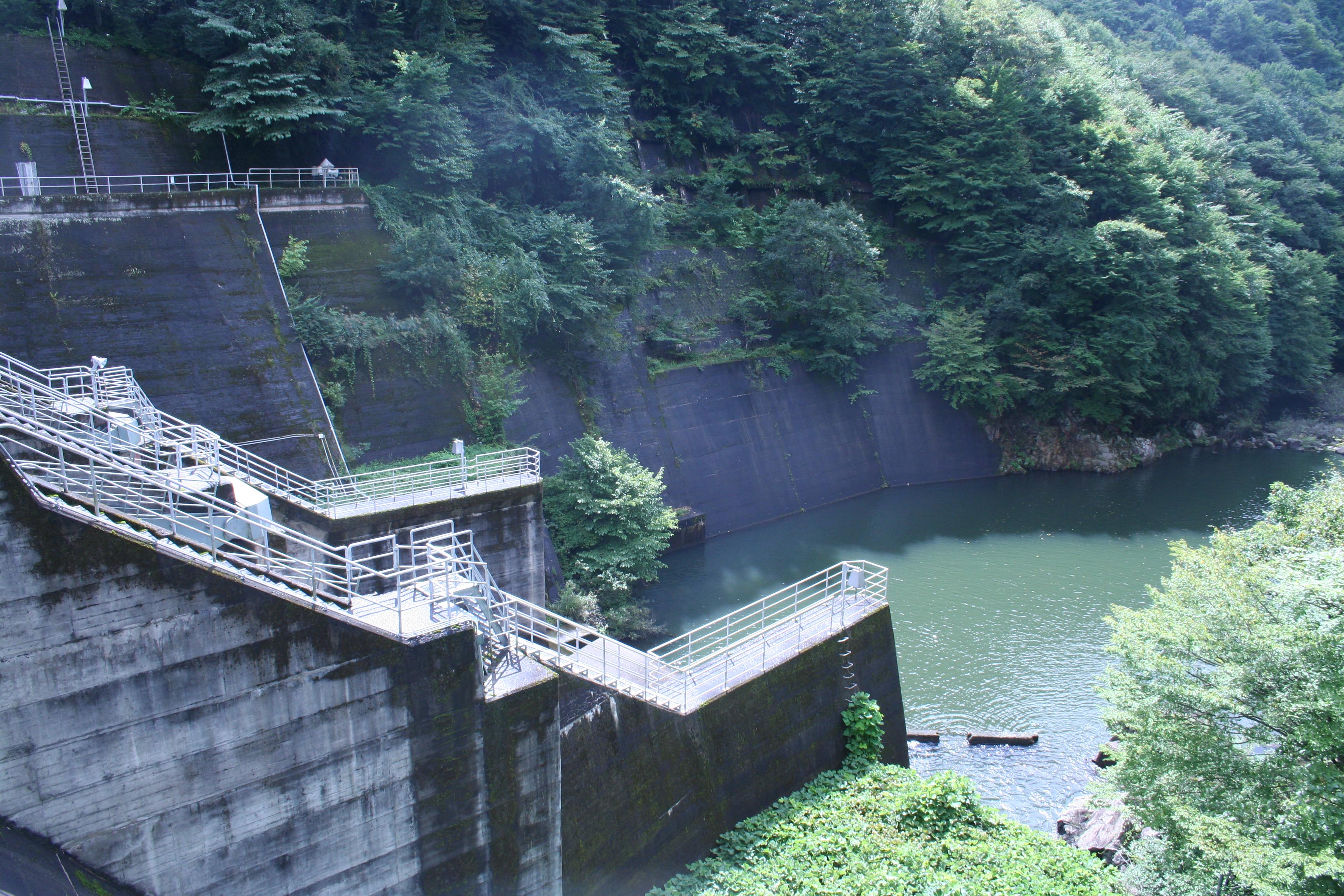 右岸から堤体下流側を見る
