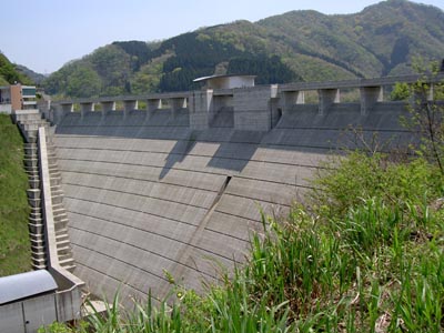左岸下流側から堤体を見る