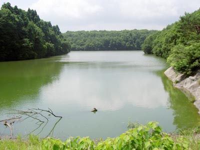 ダム湖
