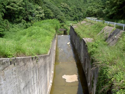 導流部