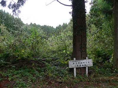 寺坂屋敷跡