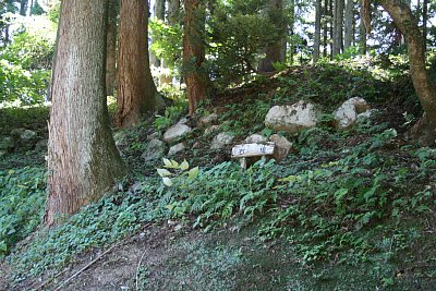 三の丸石垣跡