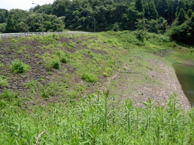 堤体を上流から見る