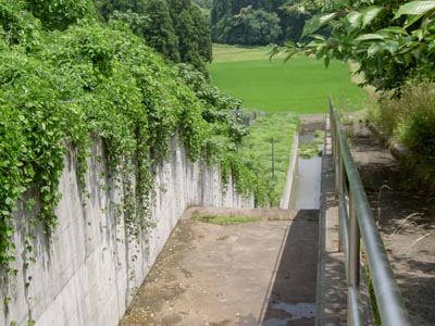 導流部