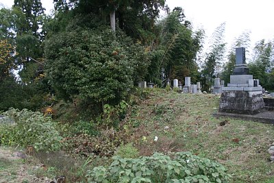 日中城の周りを囲む土塁
