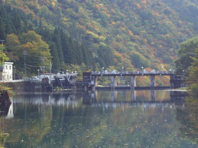上流から堤体を見る