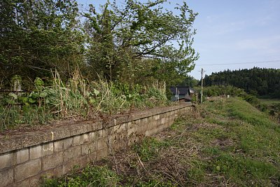 ホーム上も雑草が伸びています