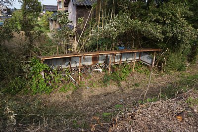 自転車置き場も荒廃しています
