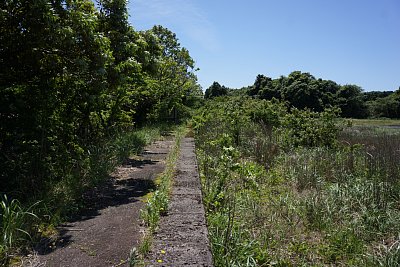前波駅ホーム
