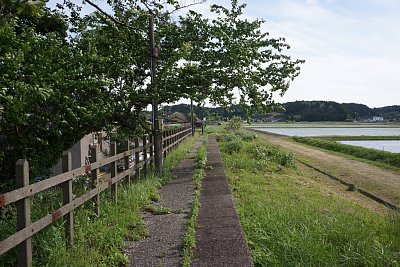 ホームは整備されているようです