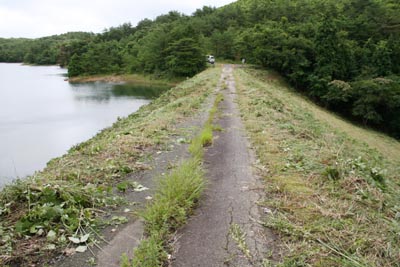 右岸より天端を望む