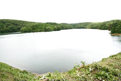 ダム湖はほぼ満水です