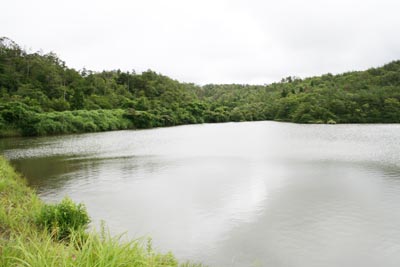 ダム湖はほぼ満水です