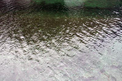 ダム湖の水は底が透き通って見えるほどです