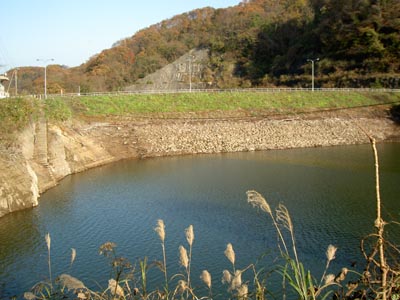 上流から堤体を見る