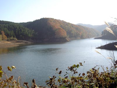 ダム湖です
