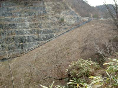 左岸から下流側堤体