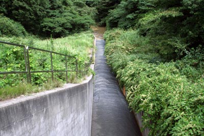導流部