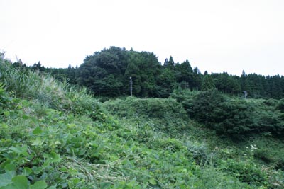 堤体下流側も草が生い茂っていました