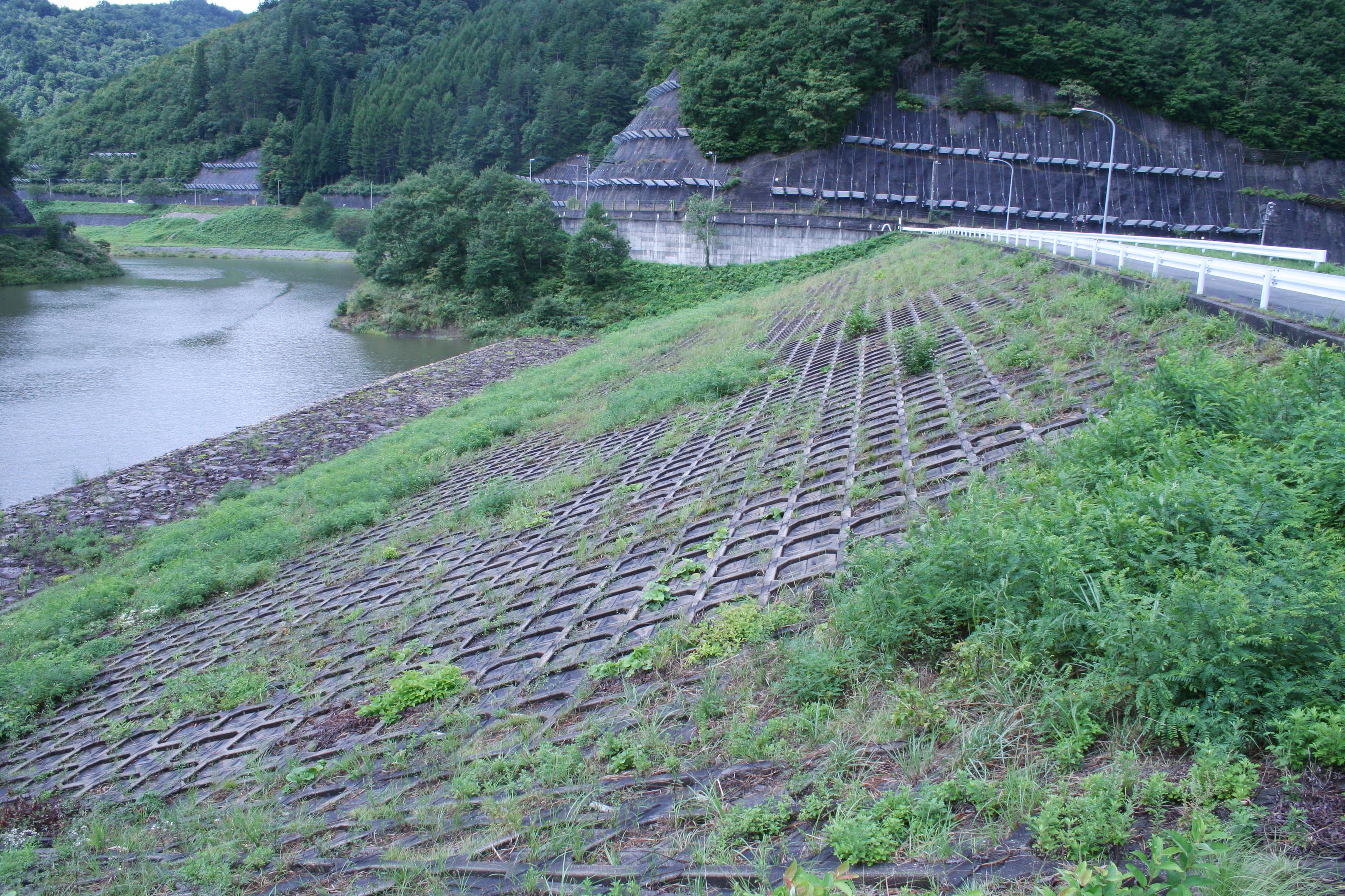 右岸から堤体上流側を見る